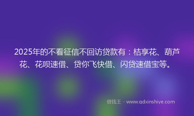 2025年的不看征信不回访贷款有：桔享花、葫芦花、花呗速借、贷你飞快借、闪贷速借宝等。
