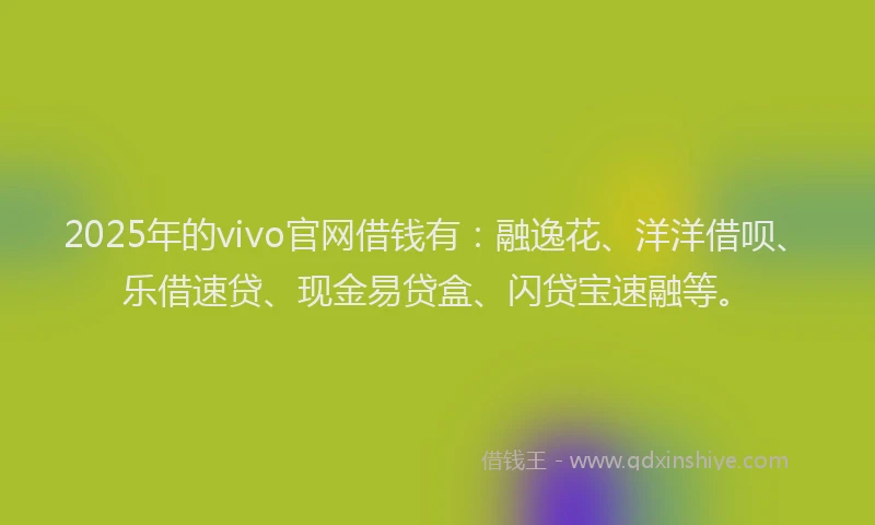 2025年的vivo官网借钱有：融逸花、洋洋借呗、乐借速贷、现金易贷盒、闪贷宝速融等。