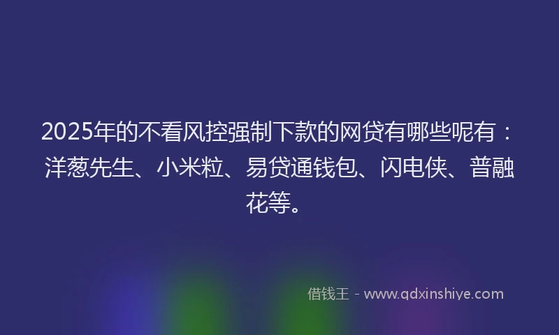2025年的不看风控强制下款的网贷有哪些呢有：洋葱先生、小米粒、易贷通钱包、闪电侠、普融花等。