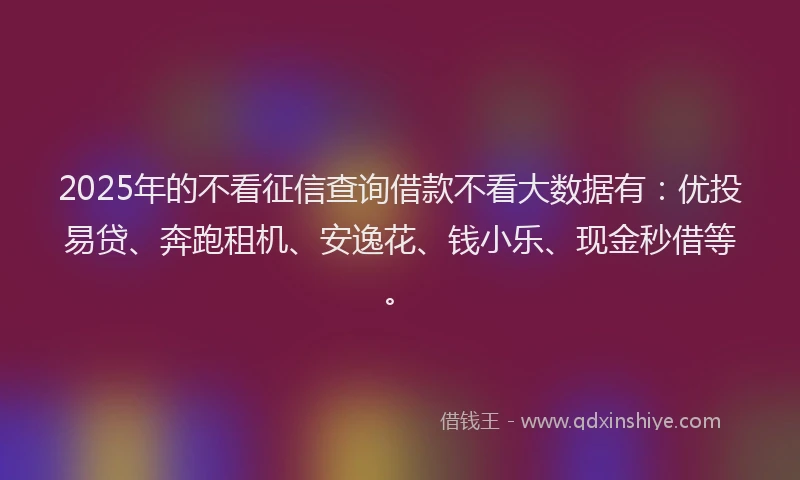 2025年的不看征信查询借款不看大数据有：优投易贷、奔跑租机、安逸花、钱小乐、现金秒借等。