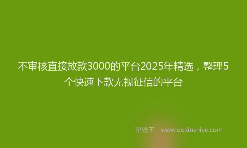 不审核直接放款3000的平台2025年精选，整理5个快速下款无视征信的平台