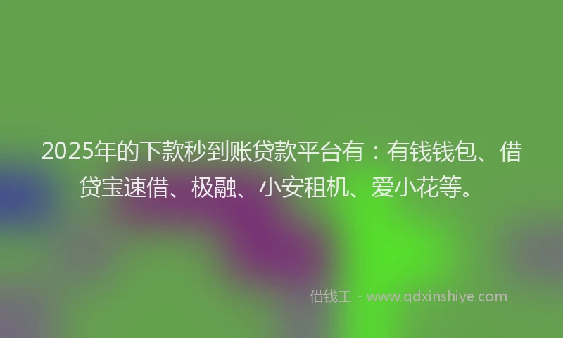 2025年的下款秒到账贷款平台有：有钱钱包、借贷宝速借、极融、小安租机、爱小花等。