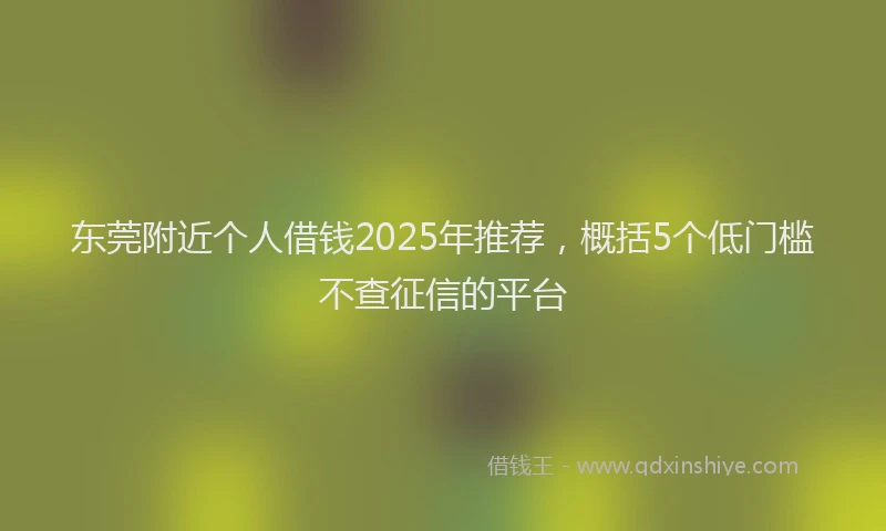 东莞附近个人借钱2025年推荐，概括5个低门槛不查征信的平台