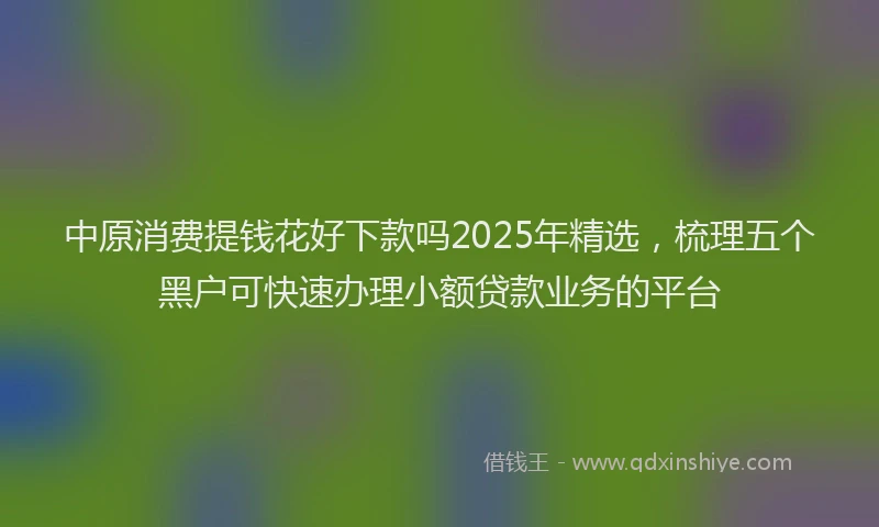 中原消费提钱花好下款吗2025年精选，梳理五个黑户可快速办理小额贷款业务的平台