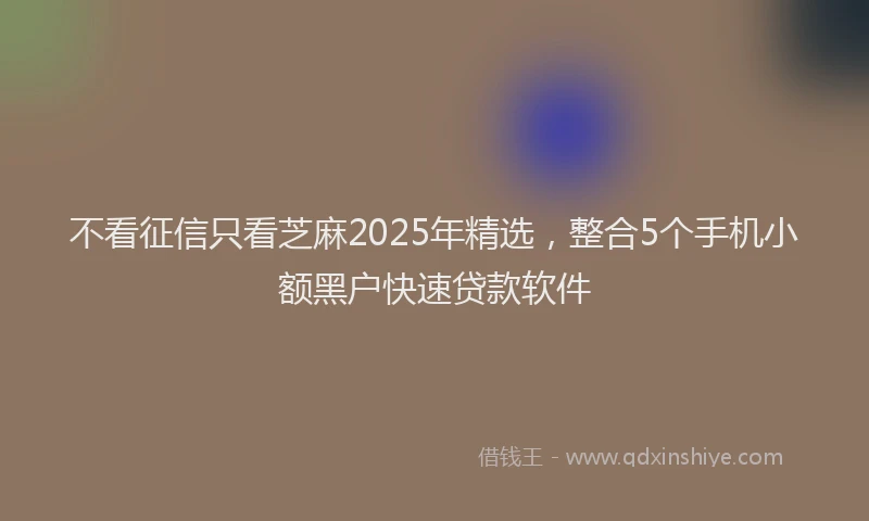 不看征信只看芝麻2025年精选，整合5个手机小额黑户快速贷款软件
