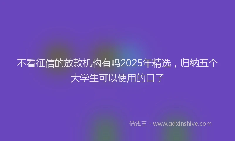 不看征信的放款机构有吗2025年精选，归纳五个大学生可以使用的口子
