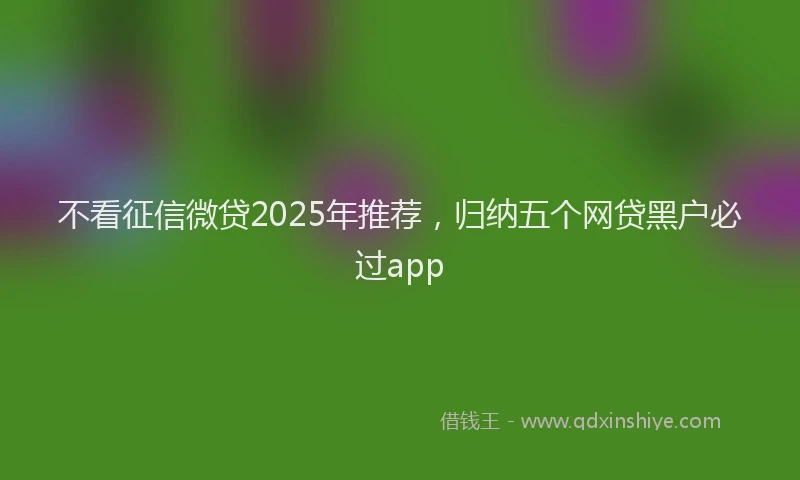不看征信微贷2025年推荐，归纳五个网贷黑户必过app