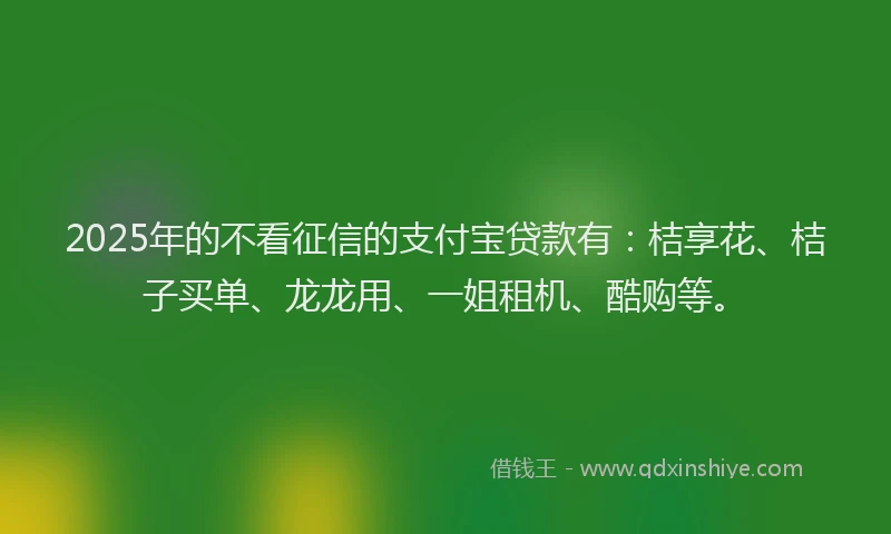 2025年的不看征信的支付宝贷款有：桔享花、桔子买单、龙龙用、一姐租机、酷购等。