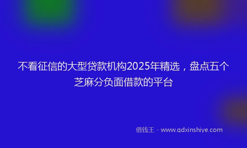 不看征信的大型贷款机构2025年精选，盘点五个芝麻分负面借款的平台