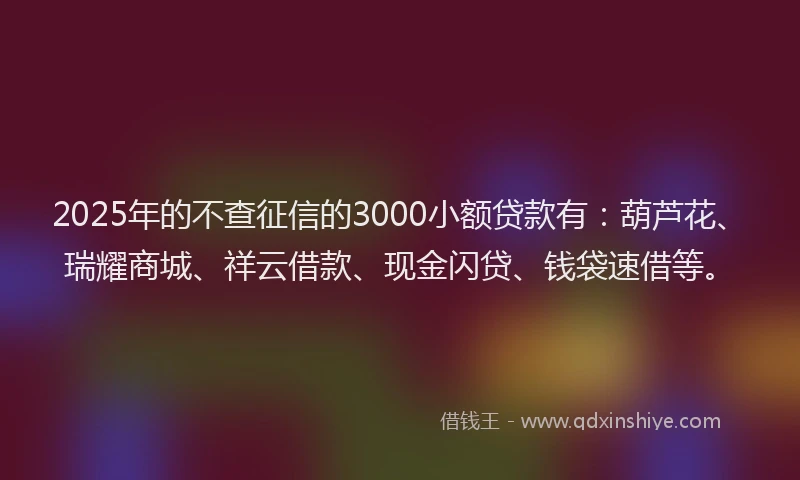 2025年的不查征信的3000小额贷款有：葫芦花、瑞耀商城、祥云借款、现金闪贷、钱袋速借等。