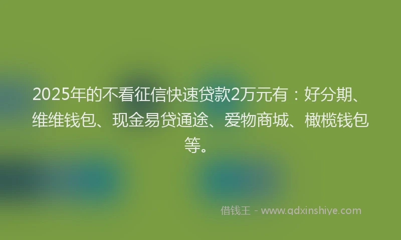 2025年的不看征信快速贷款2万元有：好分期、维维钱包、现金易贷通途、爱物商城、橄榄钱包等。