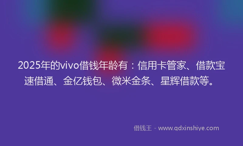 2025年的vivo借钱年龄有：信用卡管家、借款宝速借通、金亿钱包、微米金条、星辉借款等。