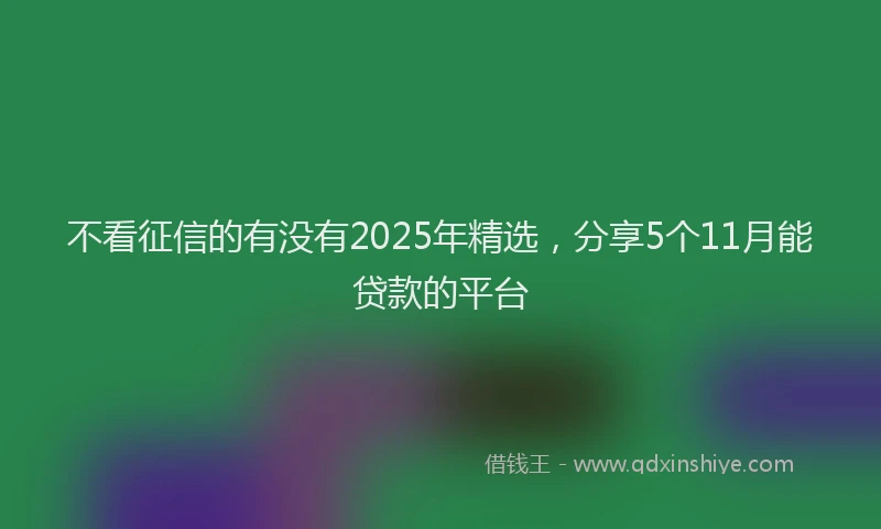 不看征信的有没有2025年精选，分享5个11月能贷款的平台