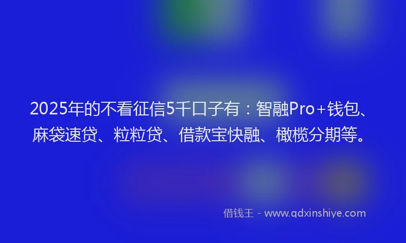 2025年的不看征信5千口子有：智融Pro+钱包、麻袋速贷、粒粒贷、借款宝快融、橄榄分期等。