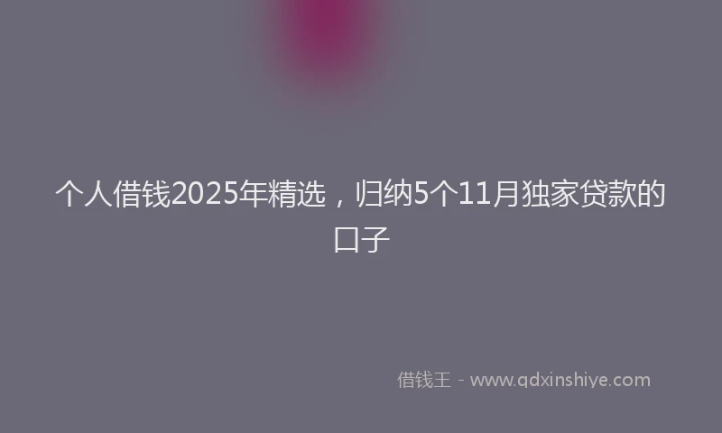 个人借钱2025年精选，归纳5个11月独家贷款的口子