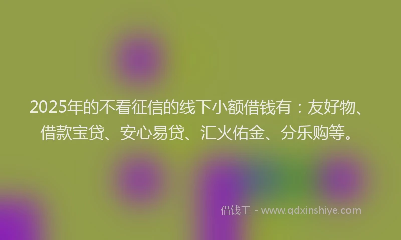 2025年的不看征信的线下小额借钱有：友好物、借款宝贷、安心易贷、汇火佑金、分乐购等。