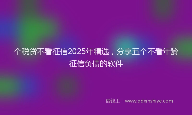 个税贷不看征信2025年精选，分享五个不看年龄征信负债的软件