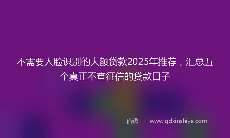 不需要人脸识别的大额贷款2025年推荐，汇总五个真正不查征信的贷款口子