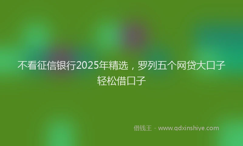 不看征信银行2025年精选，罗列五个网贷大口子轻松借口子
