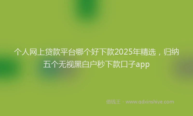 个人网上贷款平台哪个好下款2025年精选，归纳五个无视黑白户秒下款口子app