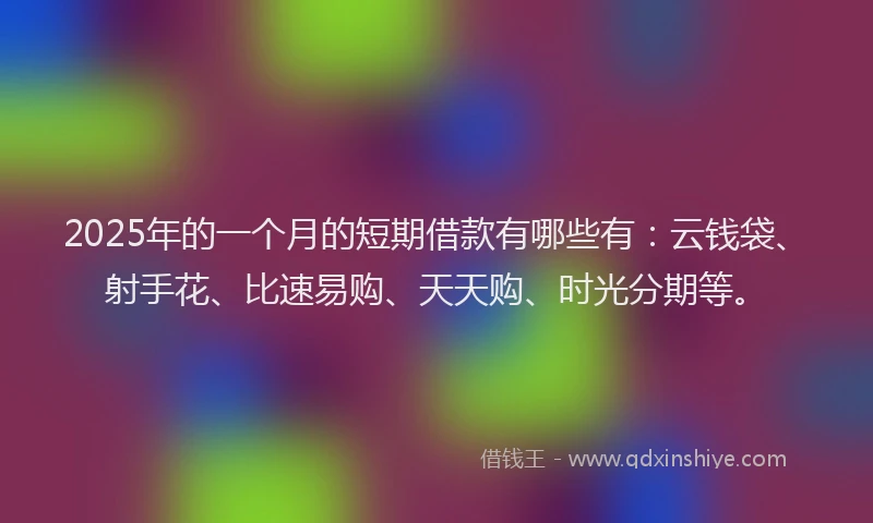 2025年的一个月的短期借款有哪些有：云钱袋、射手花、比速易购、天天购、时光分期等。