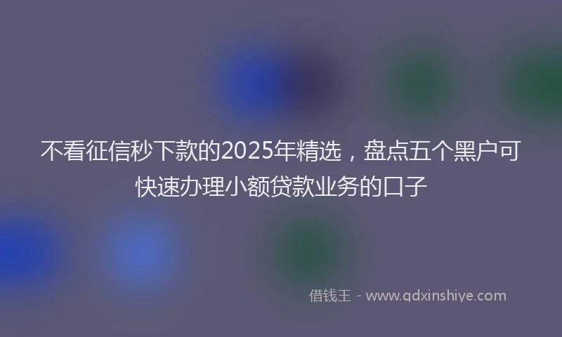 不看征信秒下款的2025年精选，盘点五个黑户可快速办理小额贷款业务的口子
