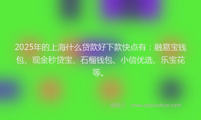 2025年的上海什么贷款好下款快点有：融易宝钱包、现金秒贷宝、石榴钱包、小信优选、乐宝花等。
