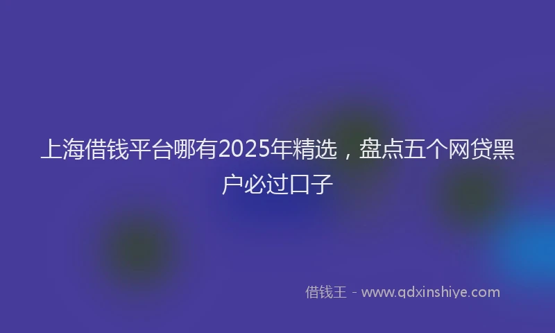 上海借钱平台哪有2025年精选，盘点五个网贷黑户必过口子