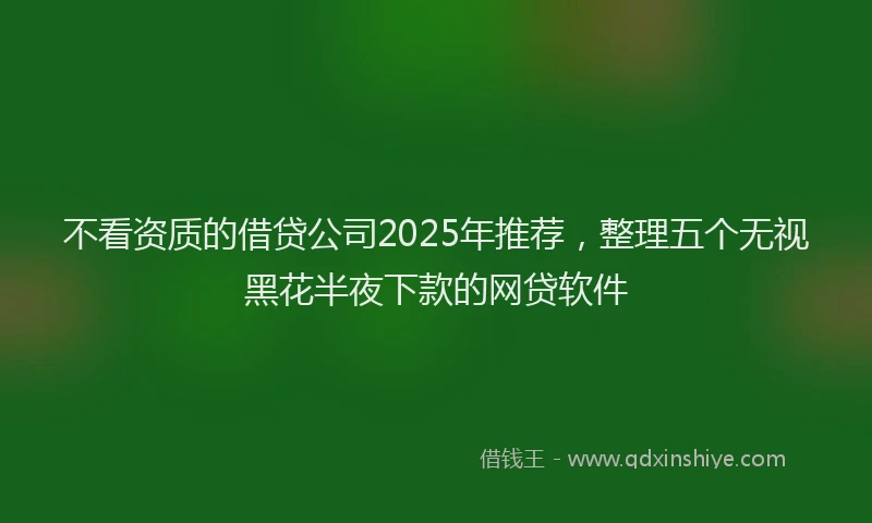 不看资质的借贷公司2025年推荐，整理五个无视黑花半夜下款的网贷软件
