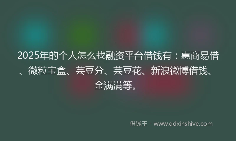 2025年的个人怎么找融资平台借钱有：惠商易借、微粒宝盒、芸豆分、芸豆花、新浪微博借钱、金满满等。
