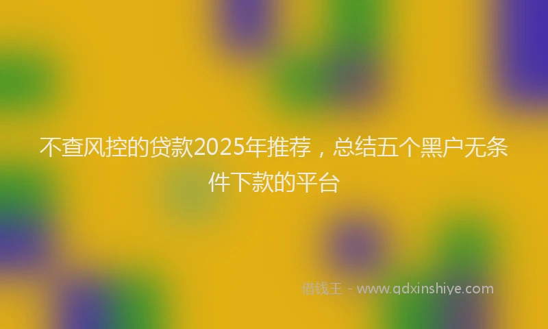 不查风控的贷款2025年推荐，总结五个黑户无条件下款的平台