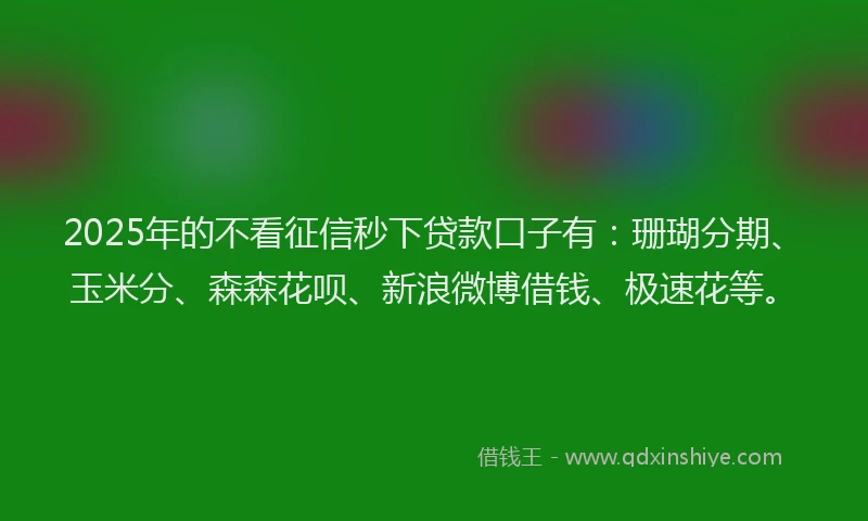 2025年的不看征信秒下贷款口子有：珊瑚分期、玉米分、森森花呗、新浪微博借钱、极速花等。