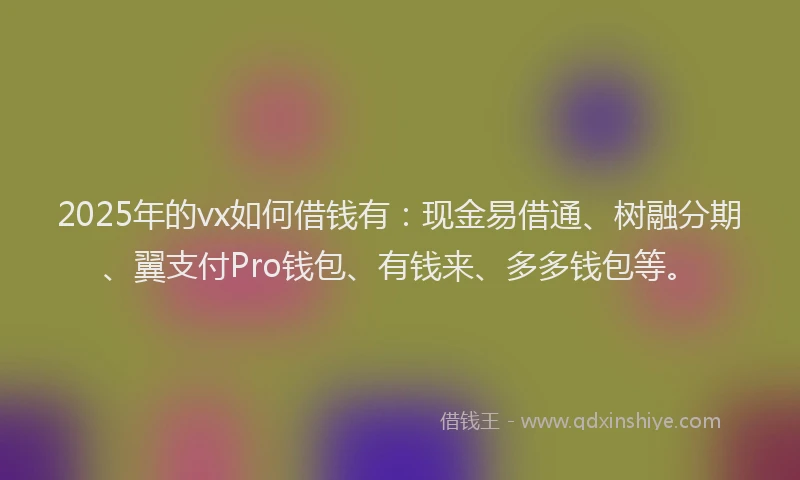 2025年的vx如何借钱有：现金易借通、树融分期、翼支付Pro钱包、有钱来、多多钱包等。