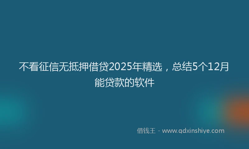 不看征信无抵押借贷2025年精选，总结5个12月能贷款的软件