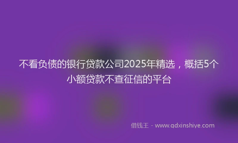 不看负债的银行贷款公司2025年精选，概括5个小额贷款不查征信的平台