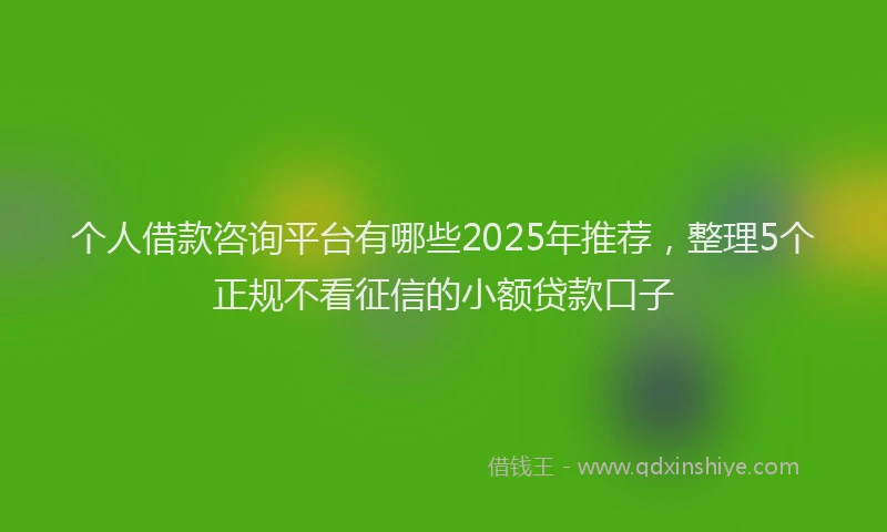 个人借款咨询平台有哪些2025年推荐，整理5个正规不看征信的小额贷款口子
