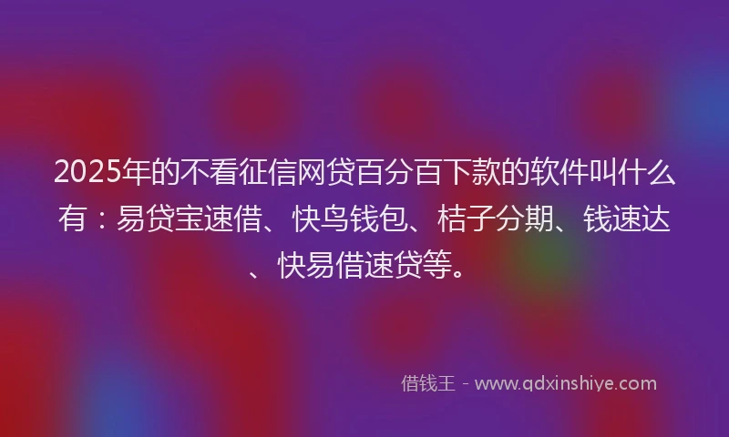 2025年的不看征信网贷百分百下款的软件叫什么有：易贷宝速借、快鸟钱包、桔子分期、钱速达、快易借速贷等。