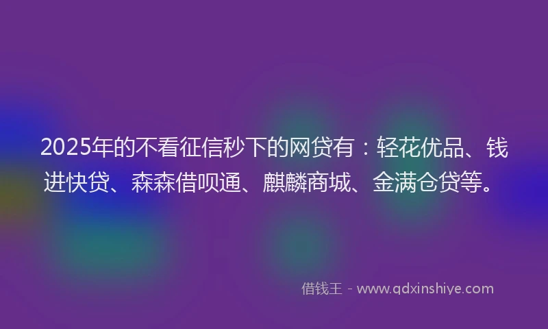 2025年的不看征信秒下的网贷有：轻花优品、钱进快贷、森森借呗通、麒麟商城、金满仓贷等。
