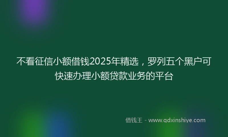 不看征信小额借钱2025年精选，罗列五个黑户可快速办理小额贷款业务的平台