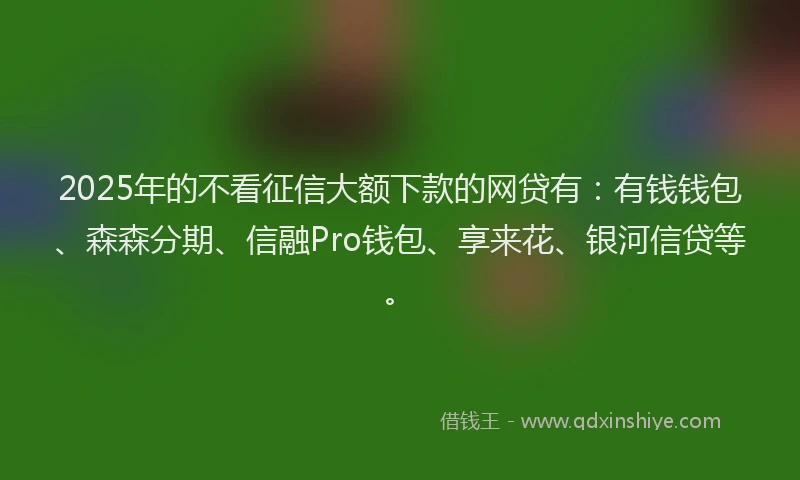 2025年的不看征信大额下款的网贷有：有钱钱包、森森分期、信融Pro钱包、享来花、银河信贷等。