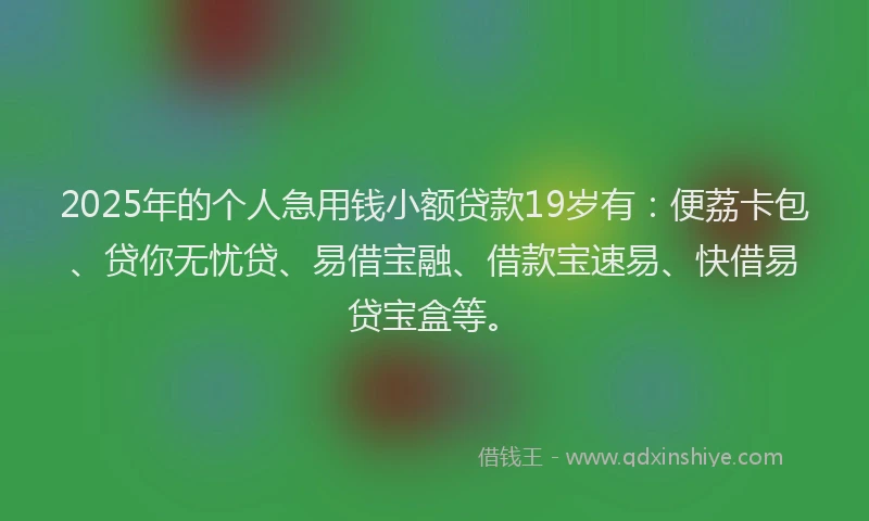 2025年的个人急用钱小额贷款19岁有：便荔卡包、贷你无忧贷、易借宝融、借款宝速易、快借易贷宝盒等。