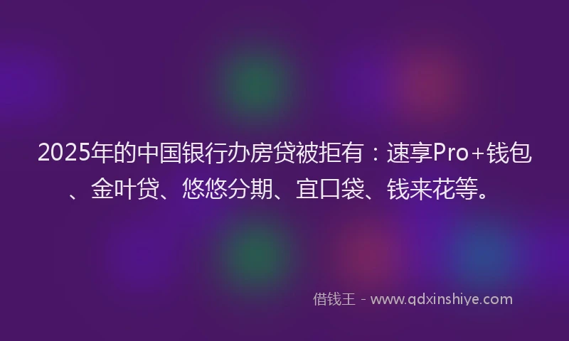 2025年的中国银行办房贷被拒有：速享Pro+钱包、金叶贷、悠悠分期、宜口袋、钱来花等。
