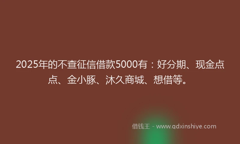 2025年的不查征信借款5000有：好分期、现金点点、金小豚、沐久商城、想借等。