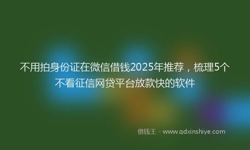 不用拍身份证在微信借钱2025年推荐，梳理5个不看征信网贷平台放款快的软件