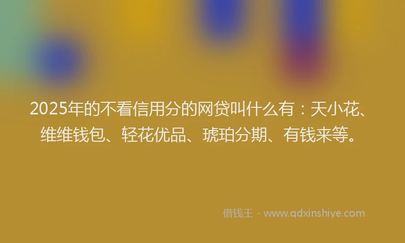 2025年的不看信用分的网贷叫什么有：天小花、维维钱包、轻花优品、琥珀分期、有钱来等。