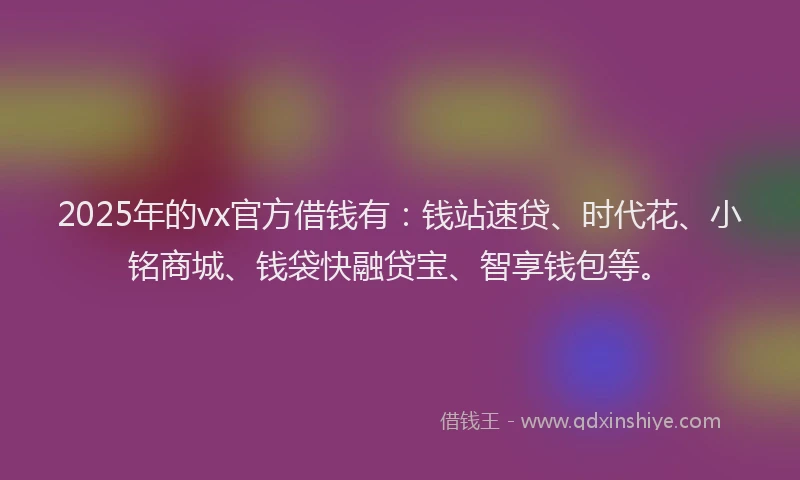 2025年的vx官方借钱有：钱站速贷、时代花、小铭商城、钱袋快融贷宝、智享钱包等。