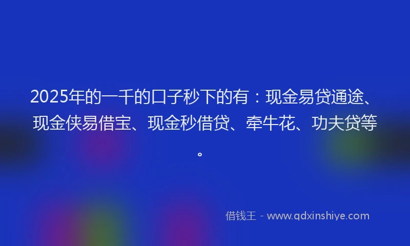 2025年的一千的口子秒下的有：现金易贷通途、现金侠易借宝、现金秒借贷、牵牛花、功夫贷等。