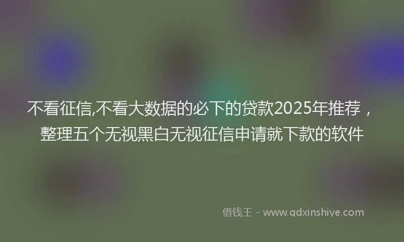 不看征信,不看大数据的必下的贷款2025年推荐，整理五个无视黑白无视征信申请就下款的软件