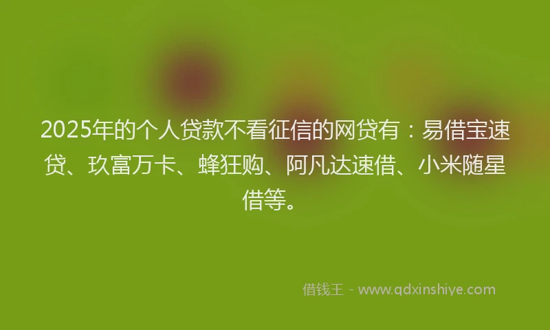 2025年的个人贷款不看征信的网贷有：易借宝速贷、玖富万卡、蜂狂购、阿凡达速借、小米随星借等。