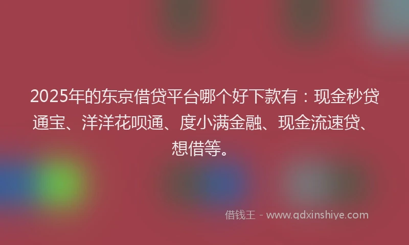 2025年的东京借贷平台哪个好下款有：现金秒贷通宝、洋洋花呗通、度小满金融、现金流速贷、想借等。